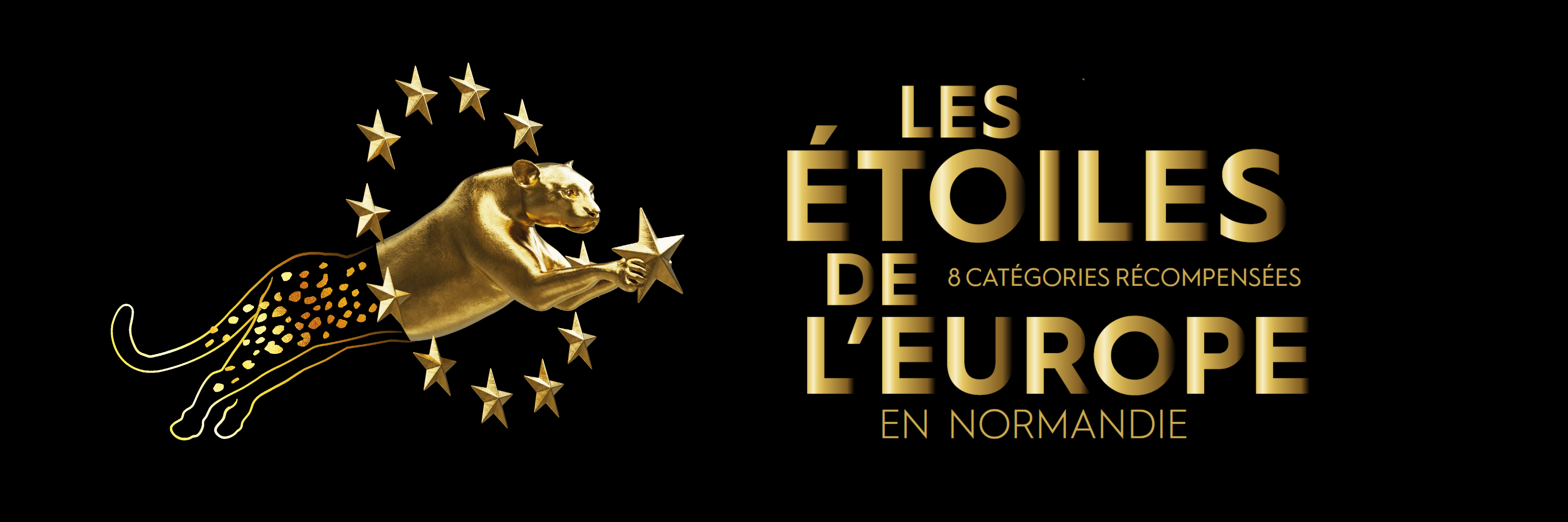 Banniere   Etoiles de lEurope