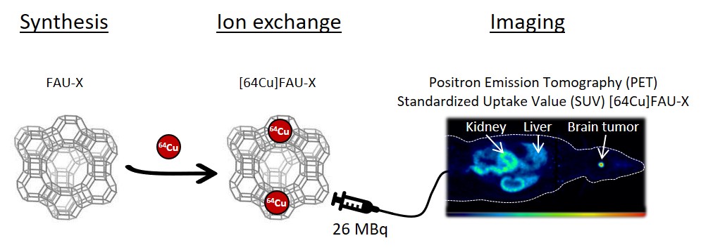 Charly nanoscale 2024 Graphical Abstract