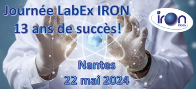 Labex IRON