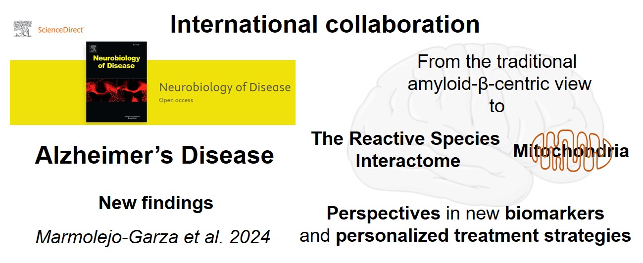 Laurent Chatre 2024 visual