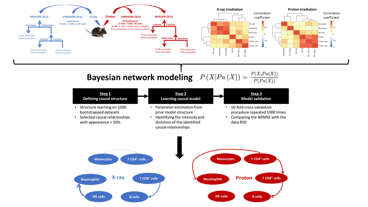 Thao graphical abstract