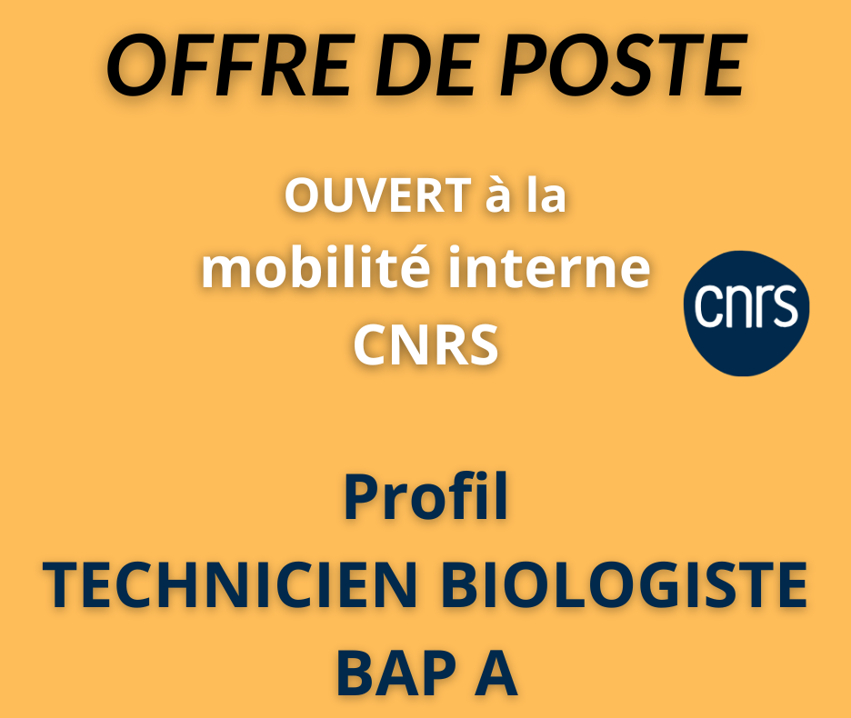 2024 MobiliteInter CNRS BAPATech SiteWeb