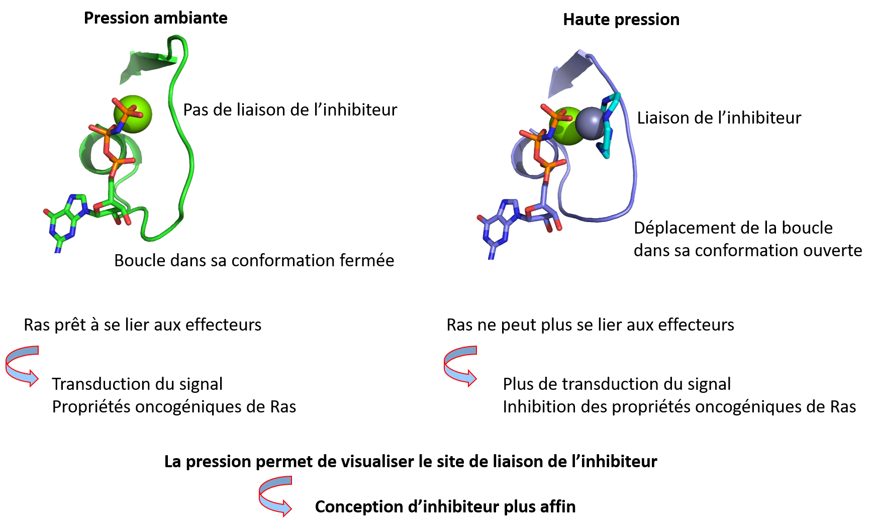 graphical abstract colloch